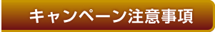キャンペーン注意事項