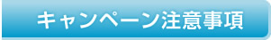 キャンペーン注意事項