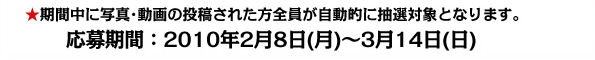 応募期間：2010年2月8日～2010年3月14日