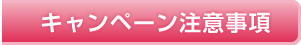 キャンペーン注意事項