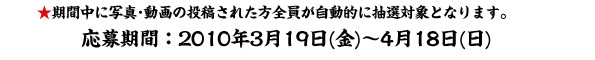 応募期間：2010年3月19日～2010年4月18日