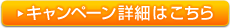 キャンペーン詳細はこちら